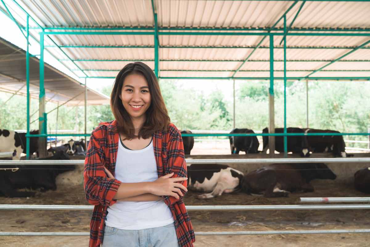 Beautiful asian woman or farmer with and cows in cowshed on dairy farm-Farming, and animal husbandry concept.